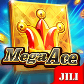 Mega Ace card slot